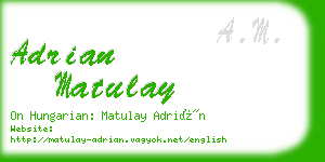 adrian matulay business card